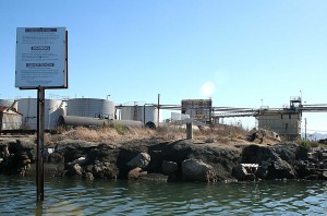 advisory_sign People continue to fish from the Inner Harbor, despite posted advisories.