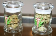 medical marijuana