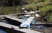 coastal cleanup richmond