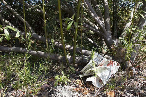 The section of Baxter Creek near San Pablo Avenue and the BART track was listed by Save the Bay as a trash hotspot. This is the fourth year the waterway has made the list. (Photo by: Sean Greene)