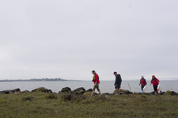 People hike through the marsh