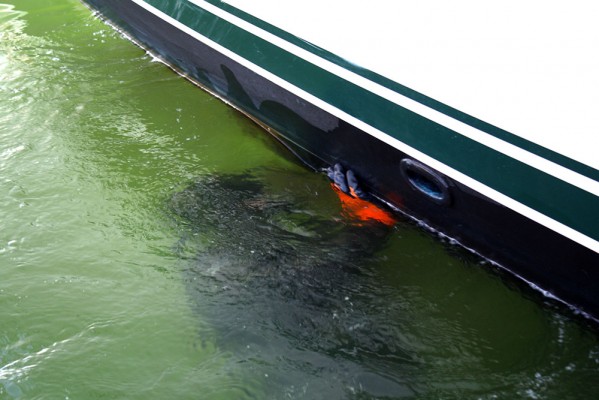 The water was soup, no visibility, and Johnson’s face stayed myopically close to the scummy hull. (Photo by: Zach St. George)