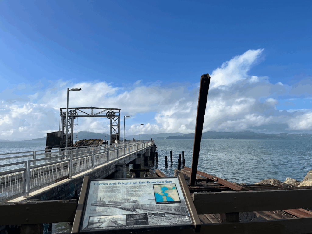 TikTok and YouTube lure young Richmonders to the sport and serenity of fishing