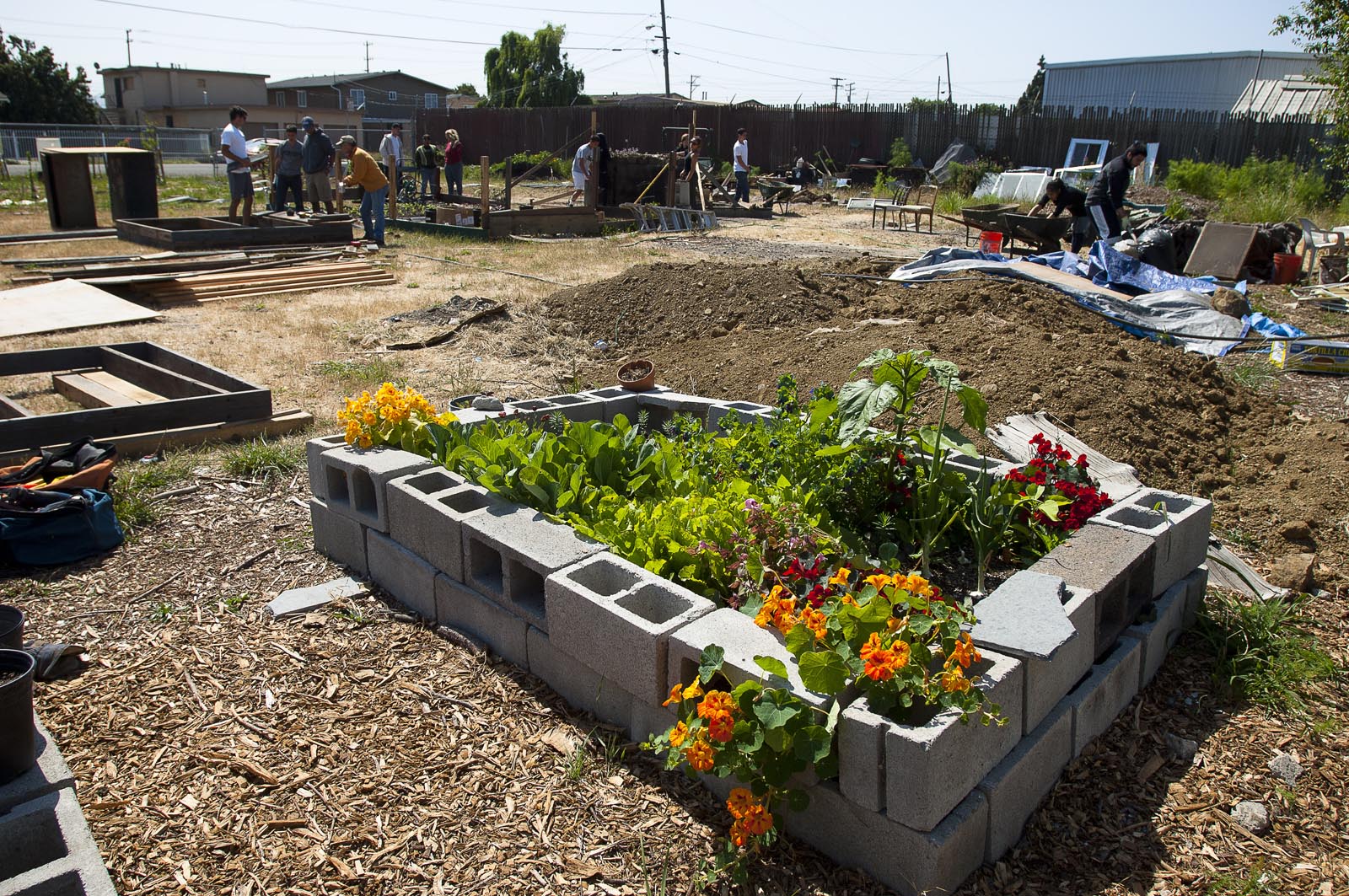 happy lot farm and garden takes root, sprouts hope for