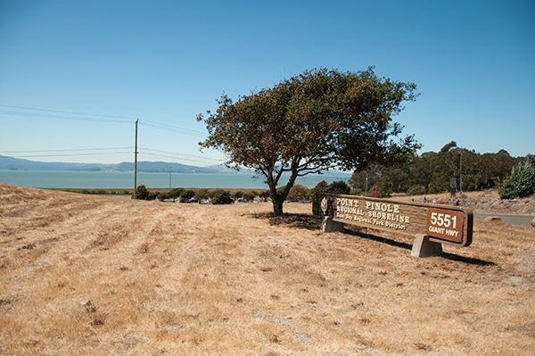 are dogs allowed at point pinole ca