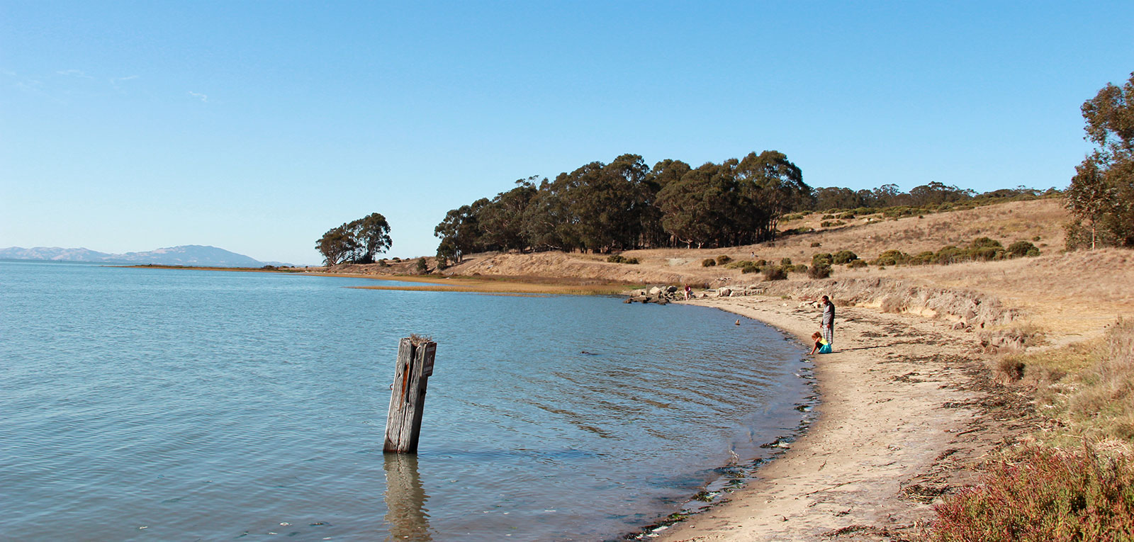 oysters-in-for-a-comeback-at-point-pinole-richmond-confidential