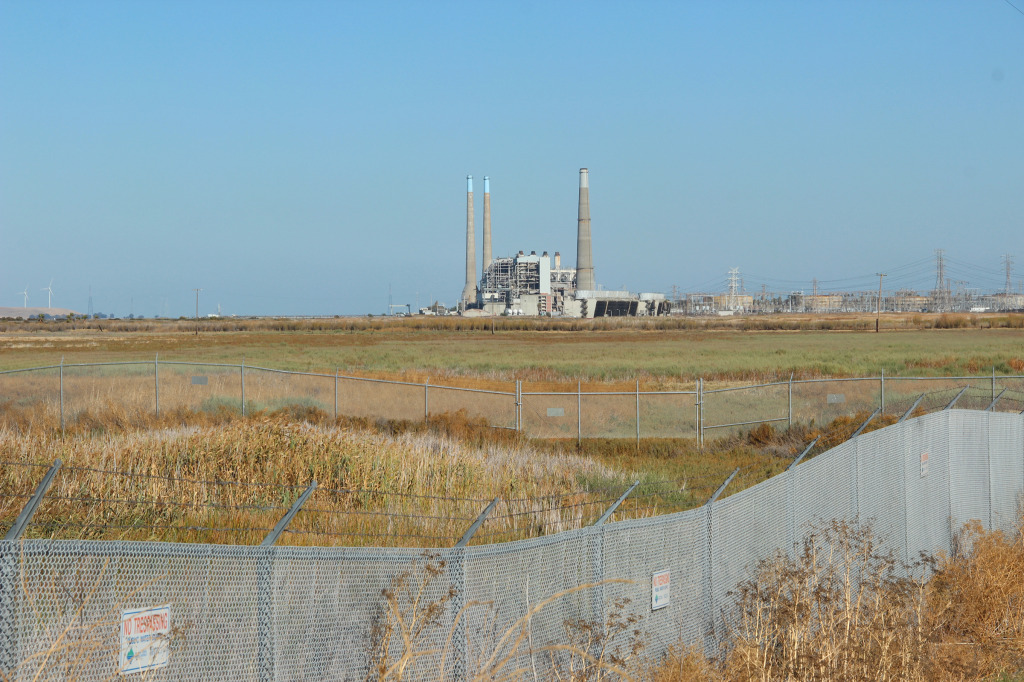 The Secal Pittsburg Power Plant looms large to the east of the proposed desalination plant site at Mallard’s Slough. (Photo by Ted Andersen)