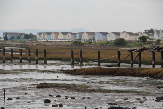 Homes along the San Francisco Bay Trail in Richmond are among those most at risk to flooding due to sea level rise and marshland erosion. (photo by Ted Andersen)
