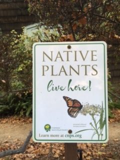 Want A Lush Garden That Needs Little Watering East Bay Utility Has A Rebate For That Richmond Confidential