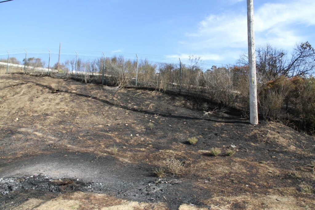 Scorched earth on Burn marks are visible on the side of Stenmark Drive from an Oct. 12, 2023, fire that burned a couple acres on Point Molate. (Hannah Frances Johansson)