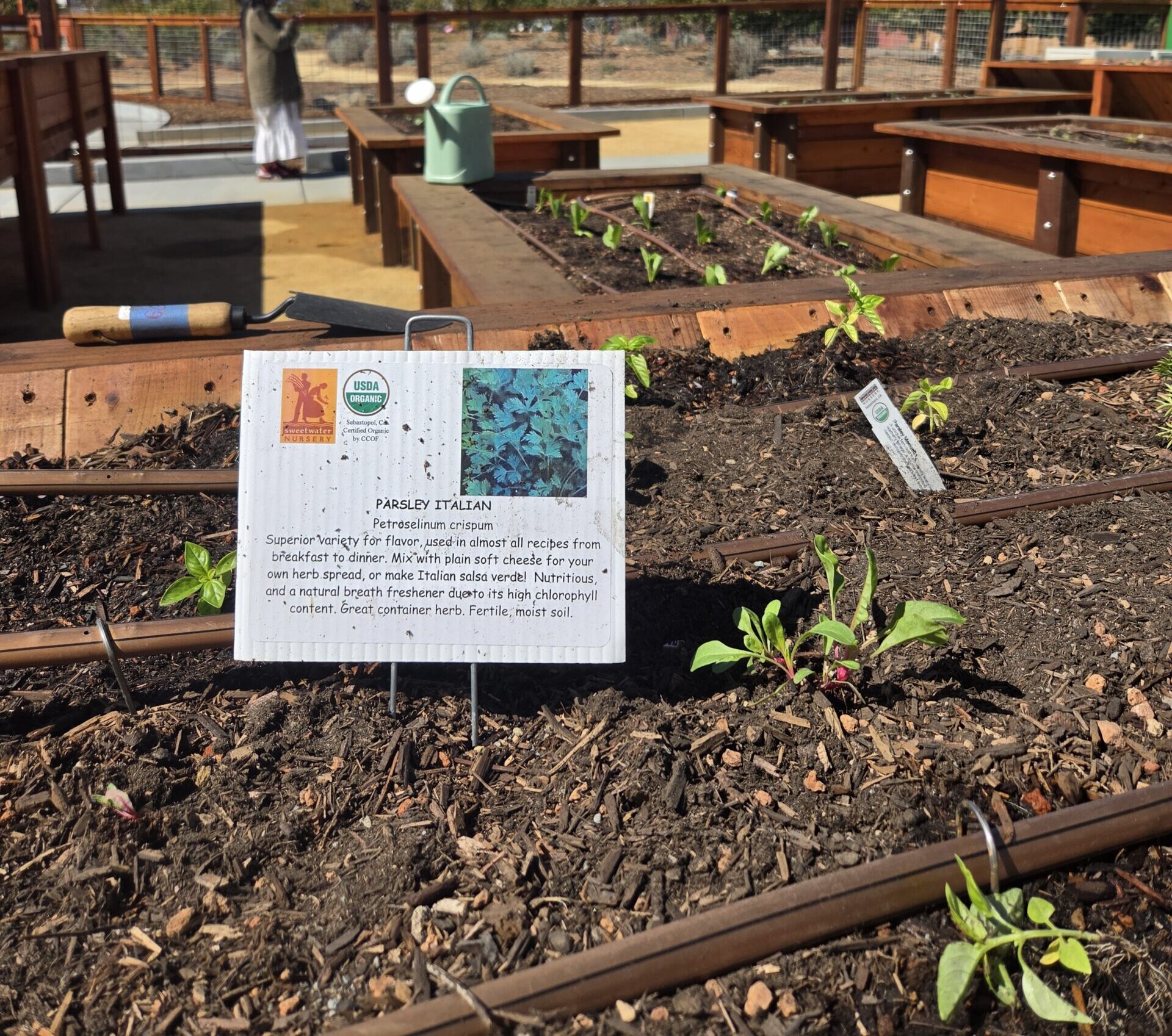 Volunteer-led, accessible garden is up and growing near Unity Park ...